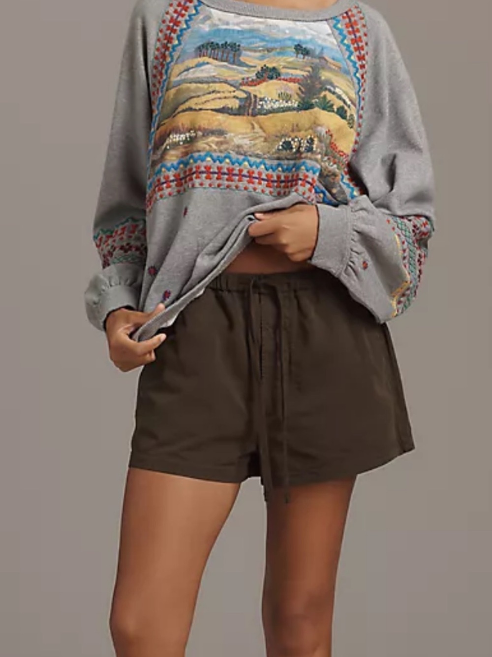 Pilcro AnthropologieGray Scenic Embroidered Pullover Sold Out Medium - Picture 2 of 5